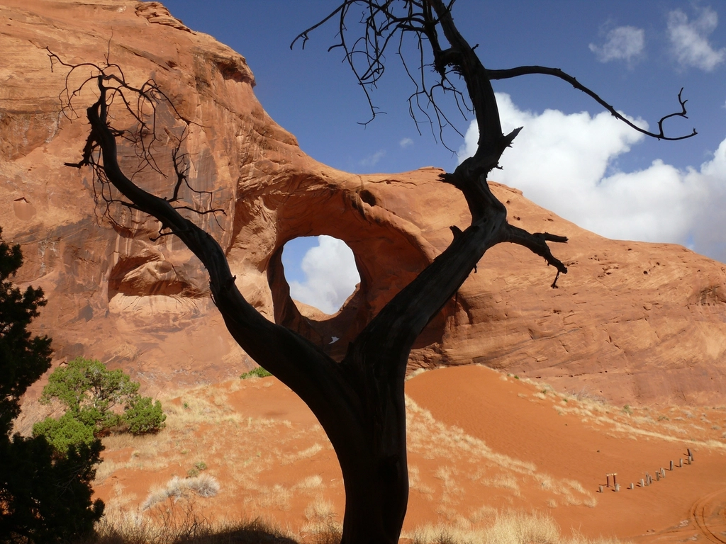 Constant Change Through Natural Forces (image credits: rawpixel)