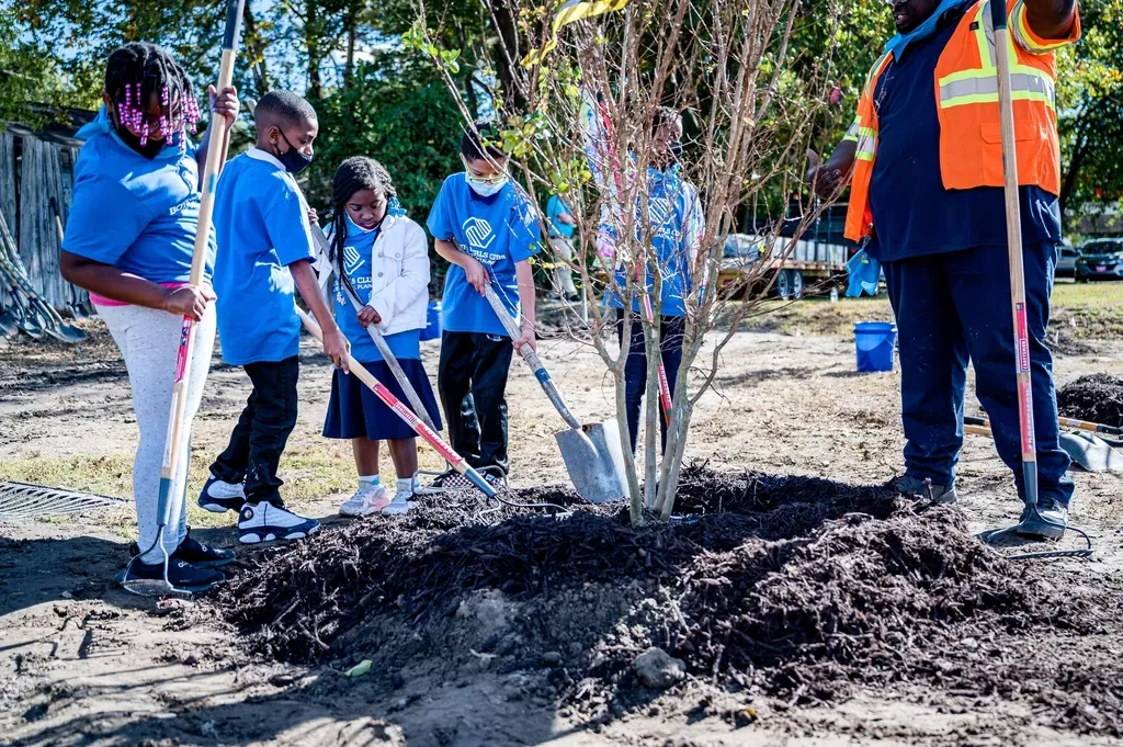 Addressing Environmental Justice Through Strategic Planting (Image Credits: Rawpixel)