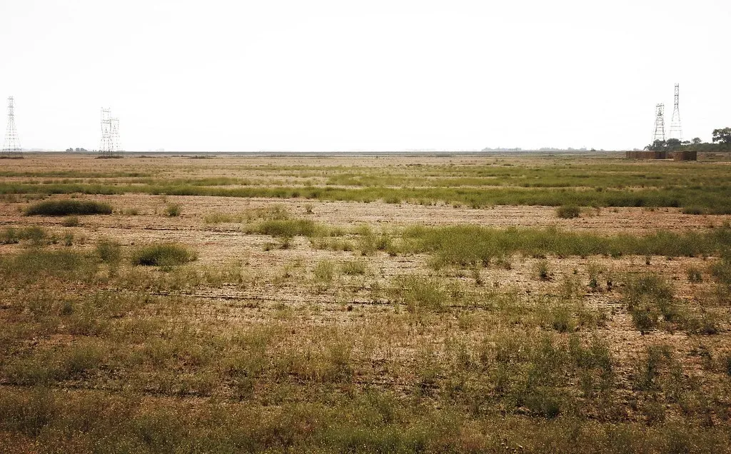 California's Farms: The Hidden Victim (Image Credits: Flickr)