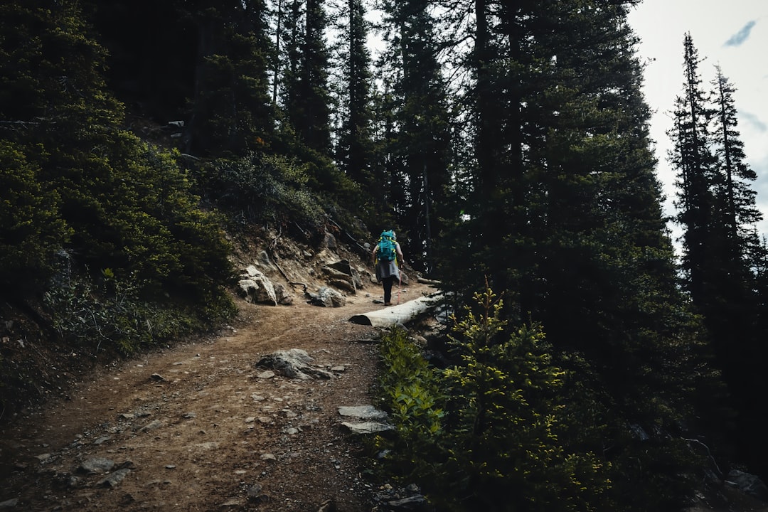 Dater Mountain Nature Park - The Internet's Secret That's Not Secret Anymore (image credits: unsplash)