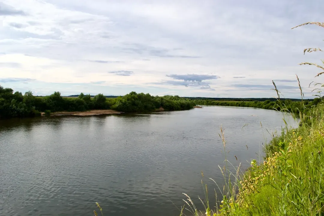 Danville, Virginia: Quiet Renaissance in the Heart of the Piedmont (Image Credits: Unsplash)