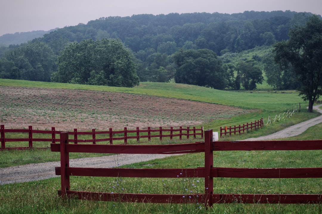 The Walking Purchase: Pennsylvania's Greatest Land Fraud (image credits: unsplash)