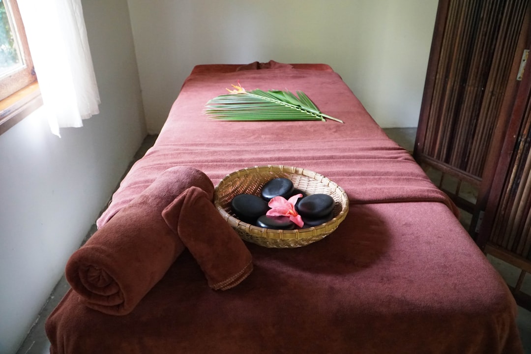 Kosa Spa's Ayurvedic Sanctuary in Wisconsin (image credits: unsplash)