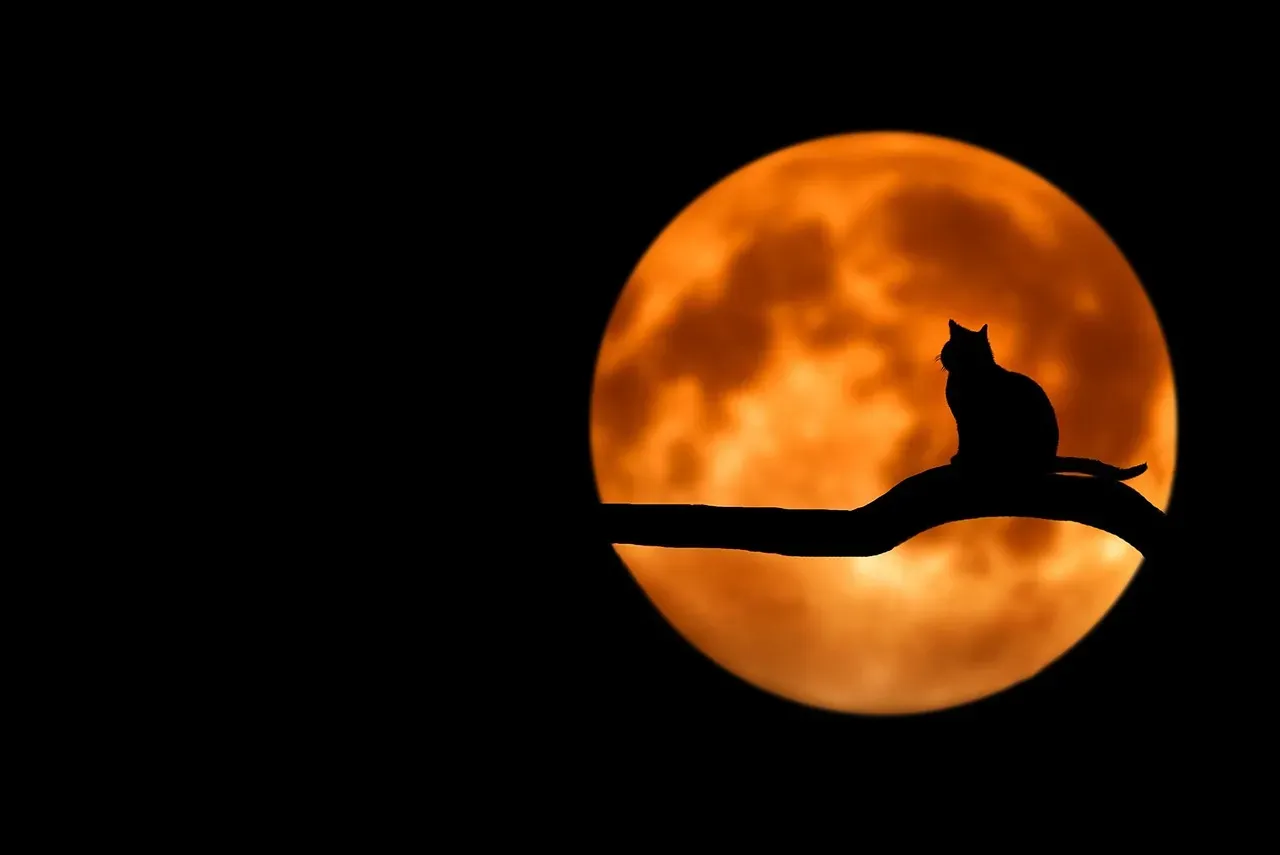 Signs of a Hidden Golden Shadow (Image Credits: Pixabay)