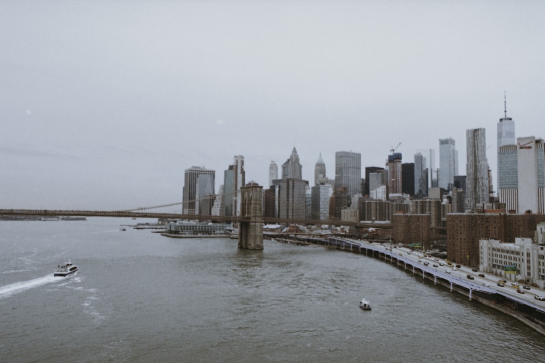 New York: The Unexpected Climate Refugee Source (image credits: unsplash)