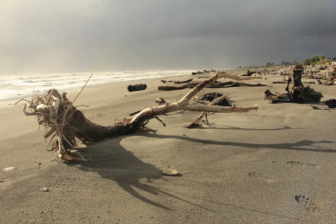 Insurers Bolt from Hurricane Alley (Image Credits: Unsplash)