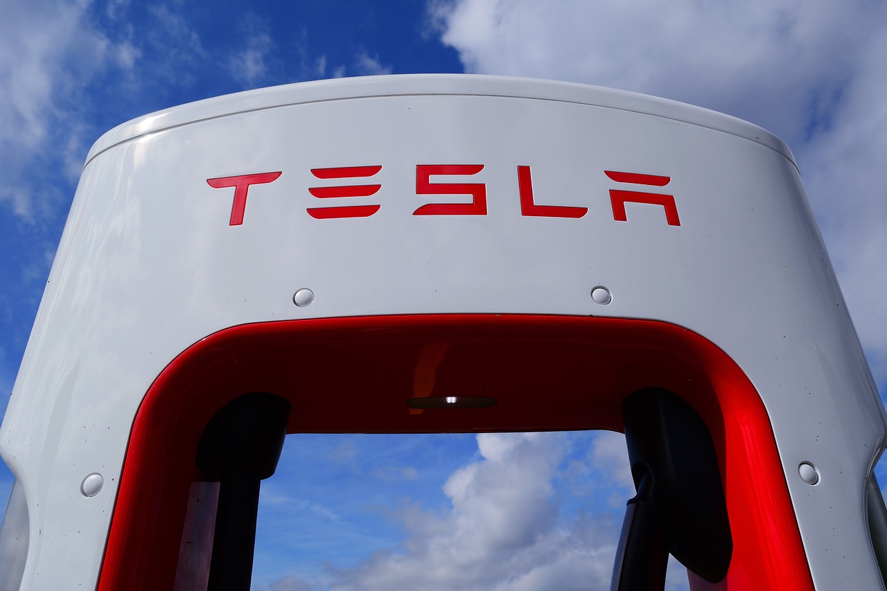 Infrastructure Development for EVs (image credits: pixabay)
