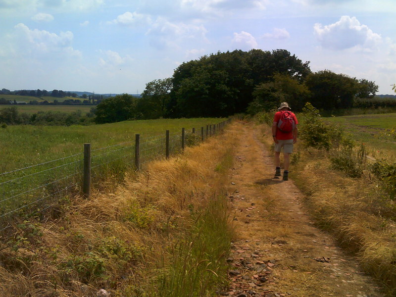 Agricultural Challenges: The Impact on Farming (image credits: wikimedia)