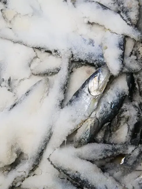 Frozen Fish (Image Credits: Pexels)