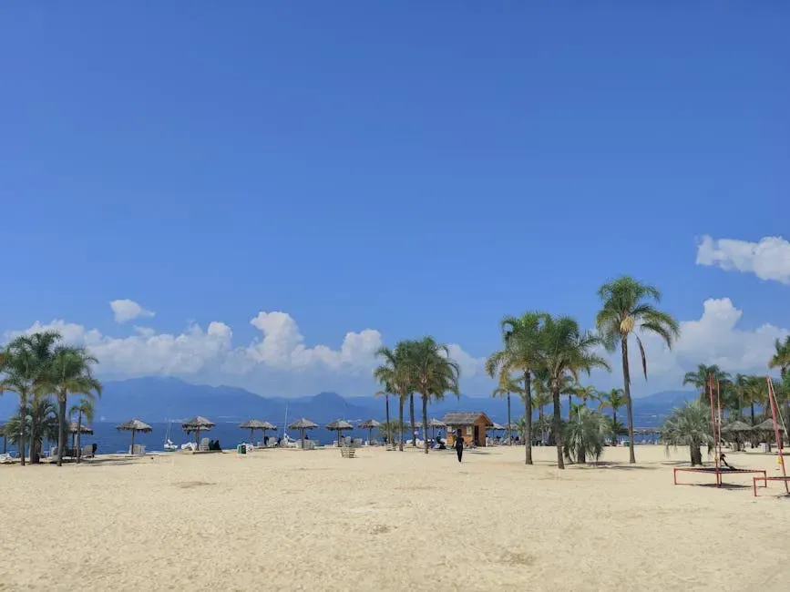 Wrapping Up the Shift (Image Credits: Pexels)