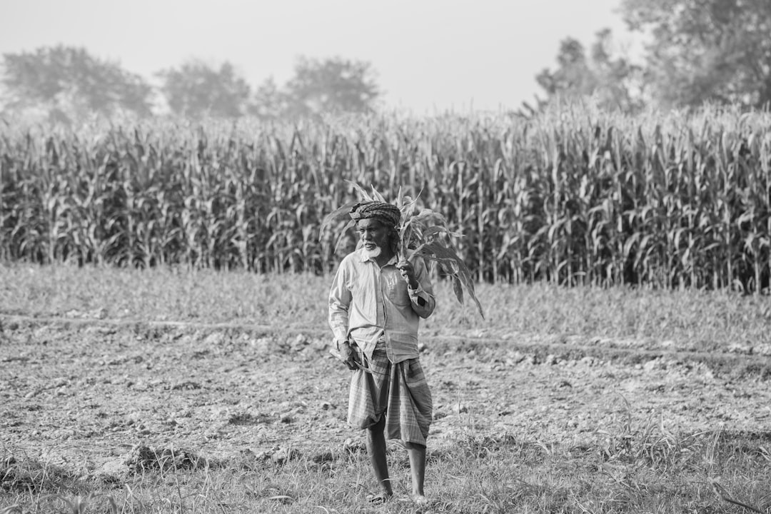 Sugar: The White Gold Rush (image credits: unsplash)