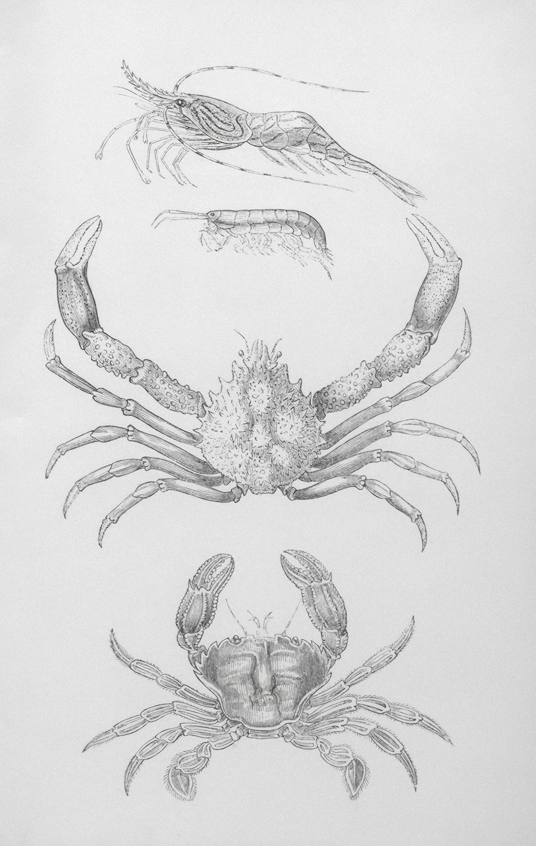 Cancer's Emotional Intelligence (image credits: unsplash)