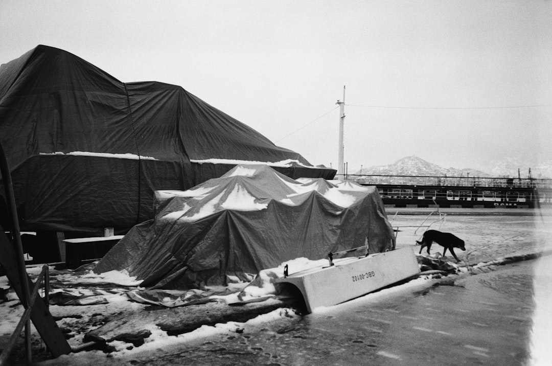 Life in the Camps: Dehumanizing Conditions and Health Crises (image credits: unsplash)