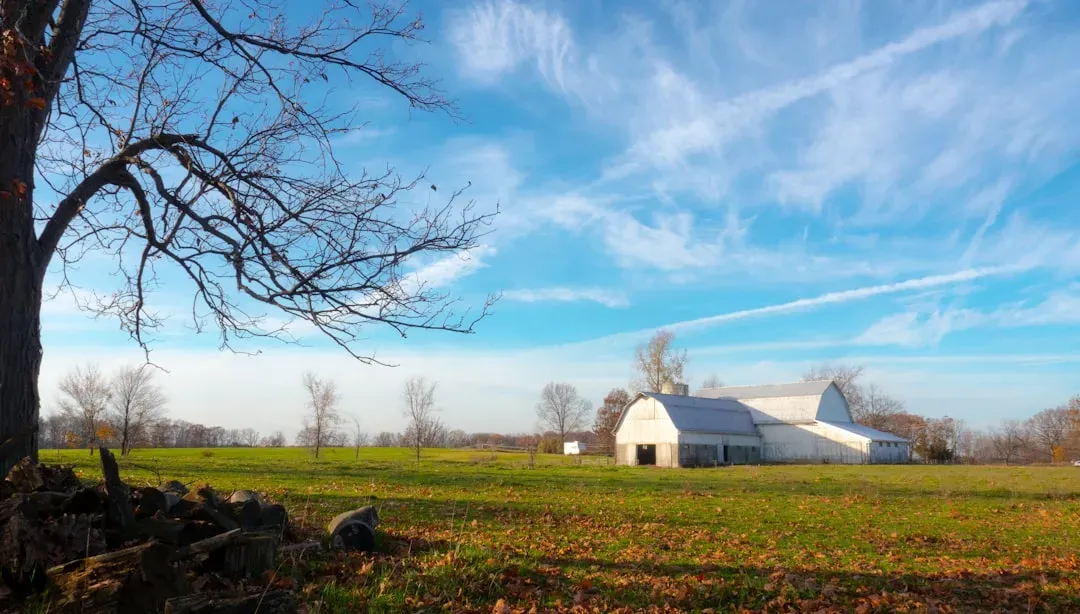 Indiana: Hoosier Heartland Values (Image Credits: Unsplash)