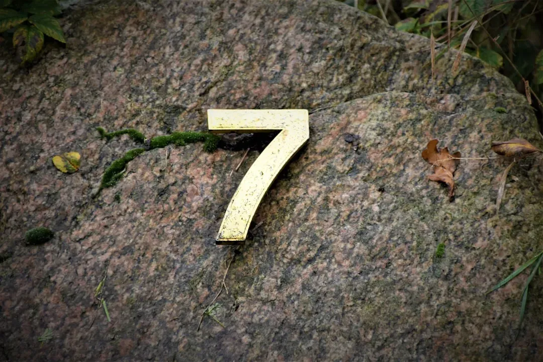 Numerology's Take on Seven Year Transformations (Image Credits: Unsplash)