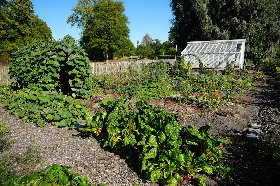 The Long-Term Vision for Your Garden (Image Credits: Unsplash)