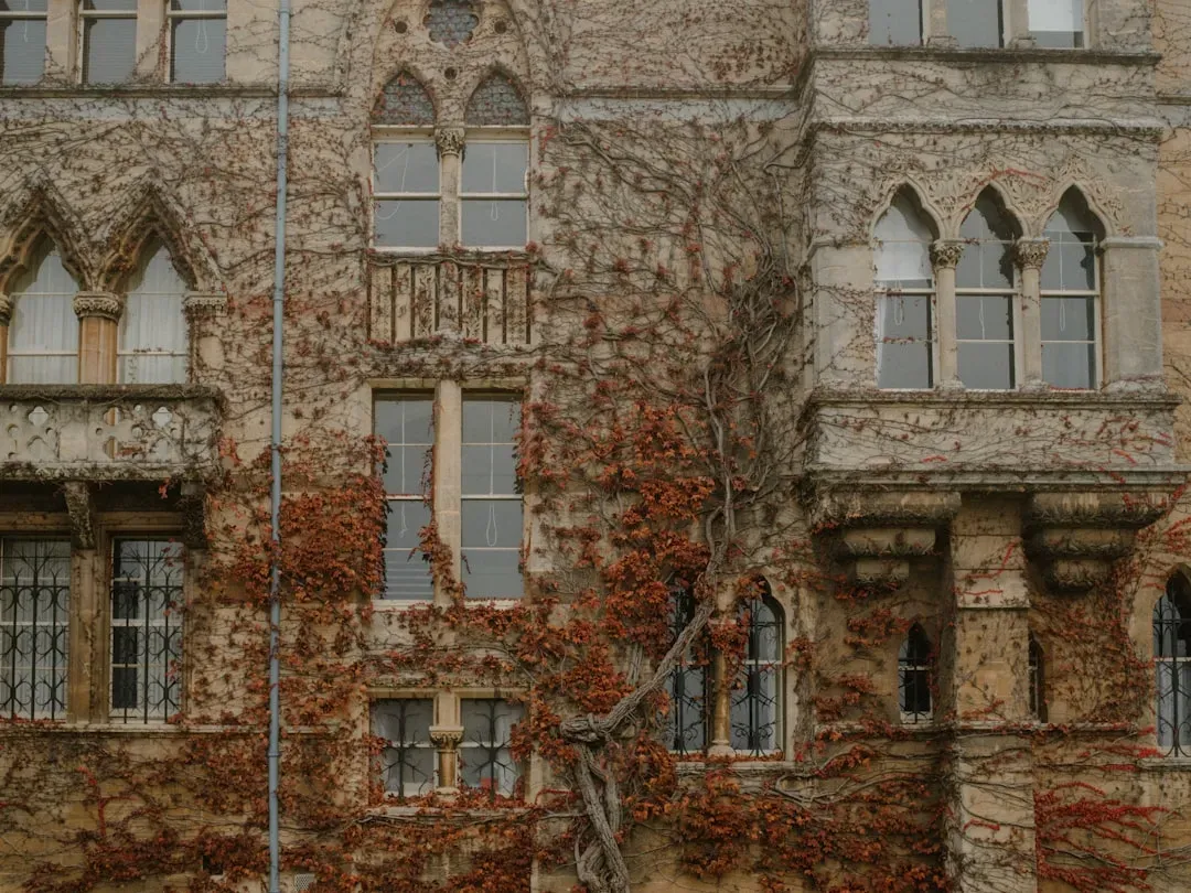 Conclusion: The Clock Is Ticking on America's Story (Image Credits: Unsplash)