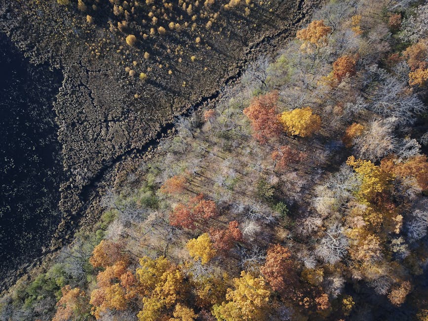 Conclusion: A New Era in Climate Records
