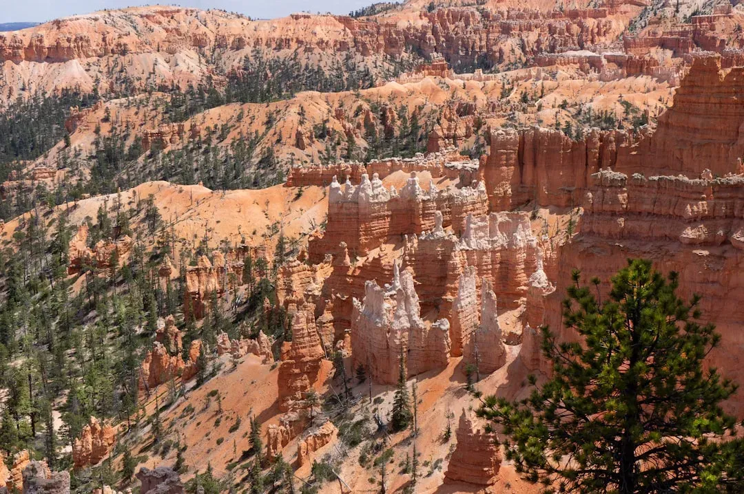 Stunning Geological Formations (Image Credits: Unsplash)