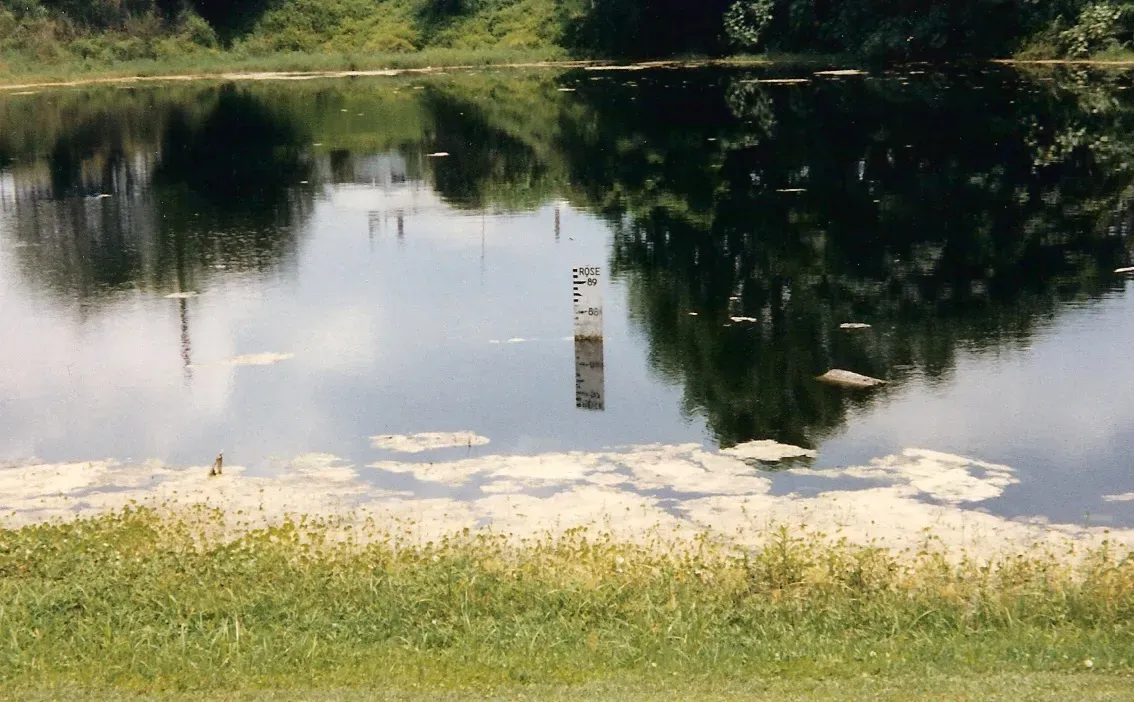 Lake Padgett Estates, Pasco County (By Gabriel Vanslette, CC BY 3.0)