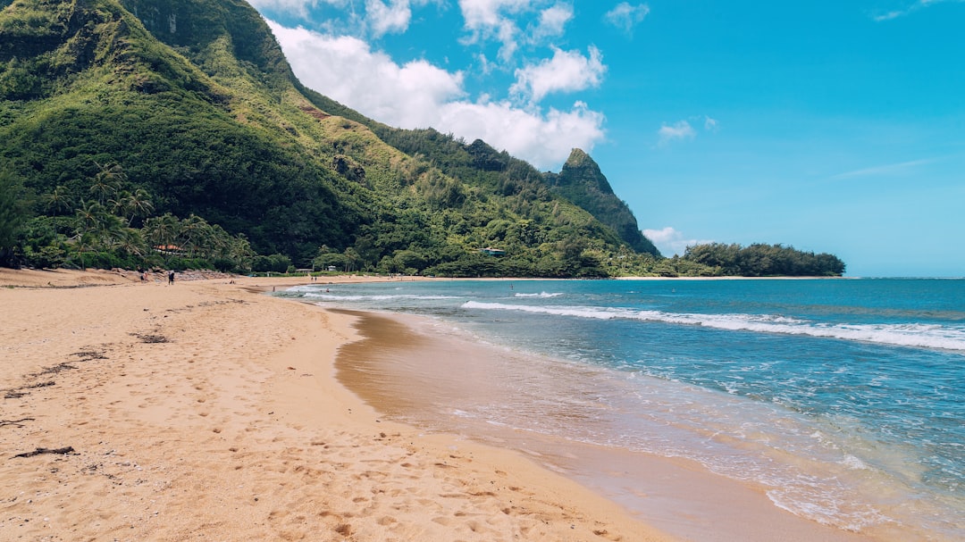 Hawaii – America's Tropical Paradise (image credits: unsplash)