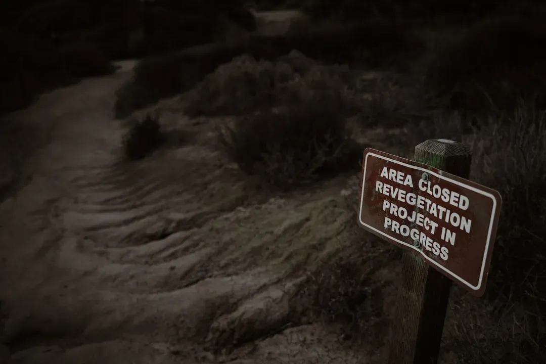 Reopening Hype vs. Reality on Ground (Image Credits: Unsplash)