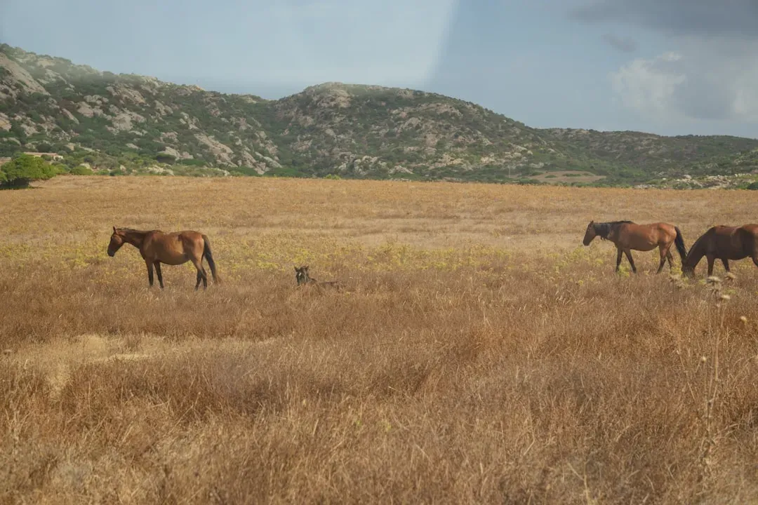 Tens of Thousands Confined in Holding Facilities With No Path Home (Image Credits: Unsplash)