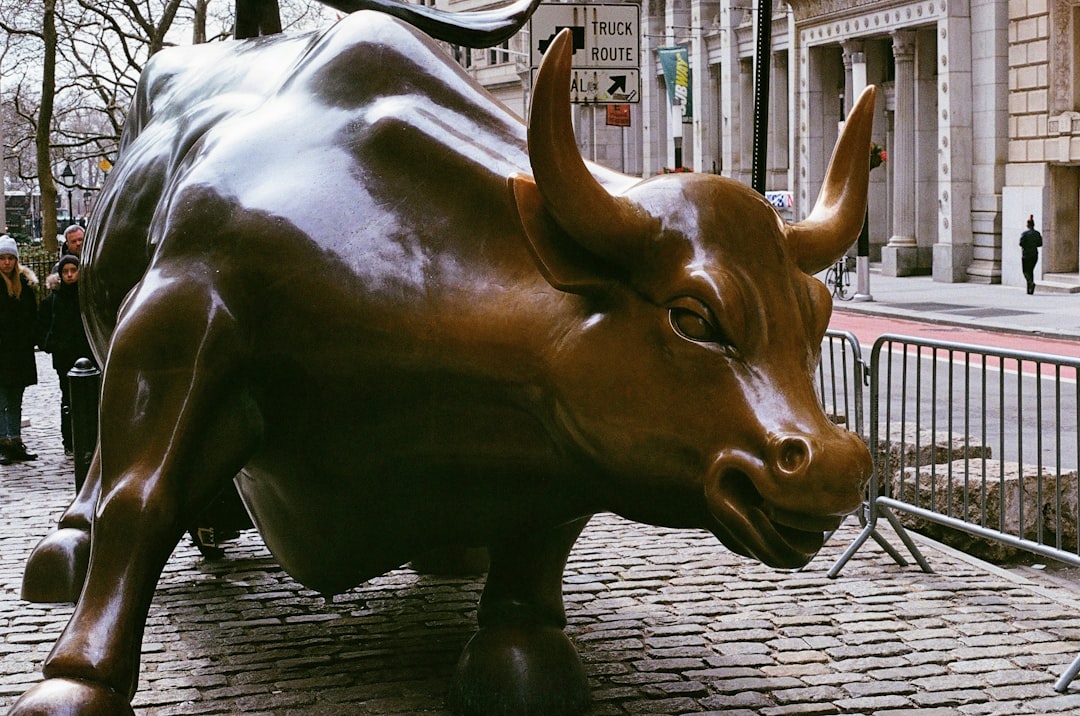Taurus: The Patient Bulls Finally Charge (image credits: unsplash)