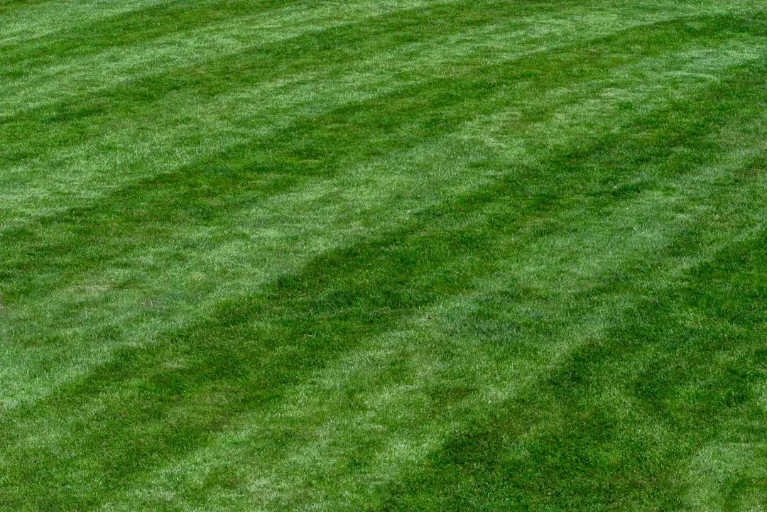 Change Mowing Direction to Prevent Grass Grain (Image Credits: Unsplash)