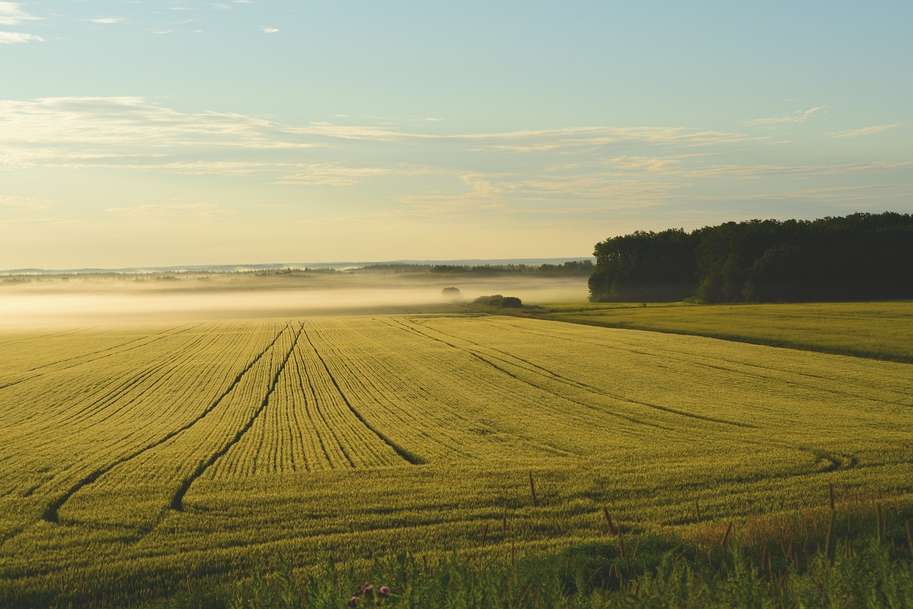 The Importance of Land Acknowledgment (image credits: pixabay)