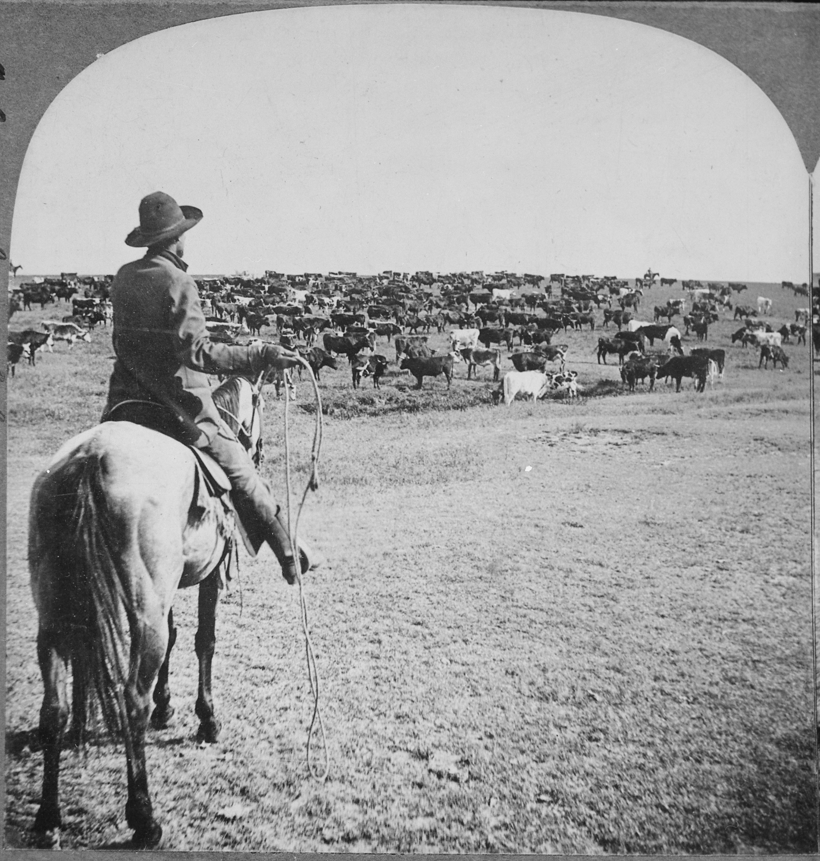 Range Wars - The Forgotten Battles of the American West (image credits: wikimedia)