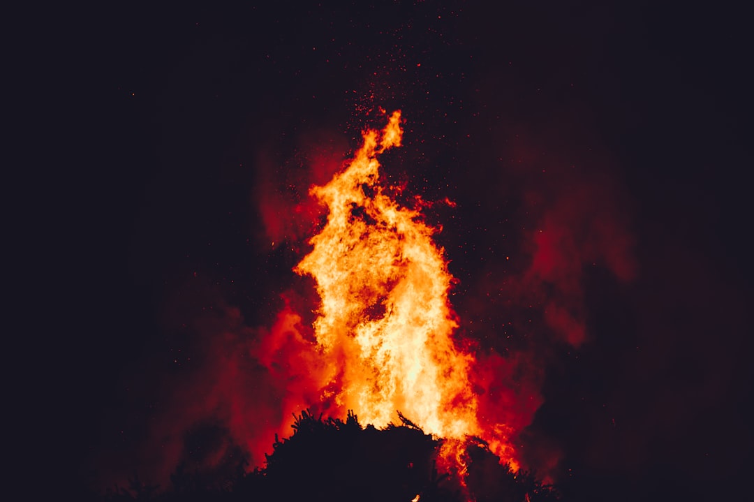 Scorpio: The Phoenix Rising from Doubt (image credits: unsplash)
