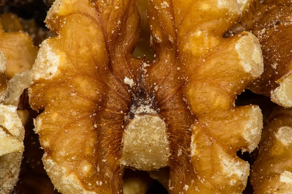 Snacks Fuel Over Half Your Calories (Image Credits: Flickr)