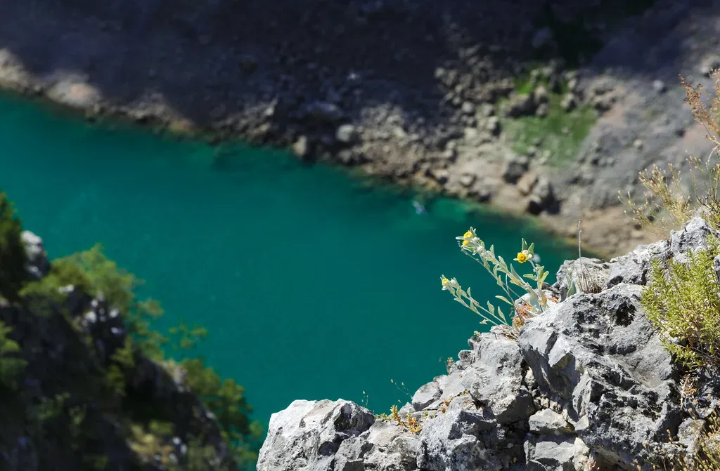 Scientists' Growing Alarm (Theo Crazzolara, Flickr, CC BY 2.0)