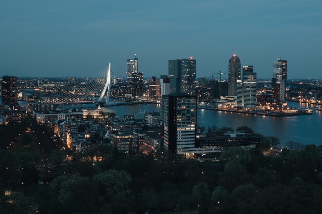 Rotterdam - Rebuilding Better Than Before (image credits: unsplash)