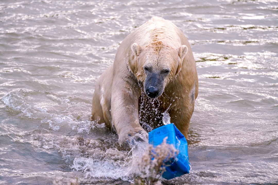 Climate Change Challenges and Adaptation Strategies (image credits: unsplash)