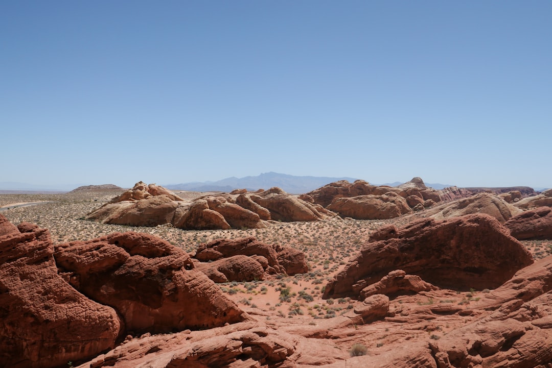 Diversification Beyond Entertainment and Mining (image credits: unsplash)