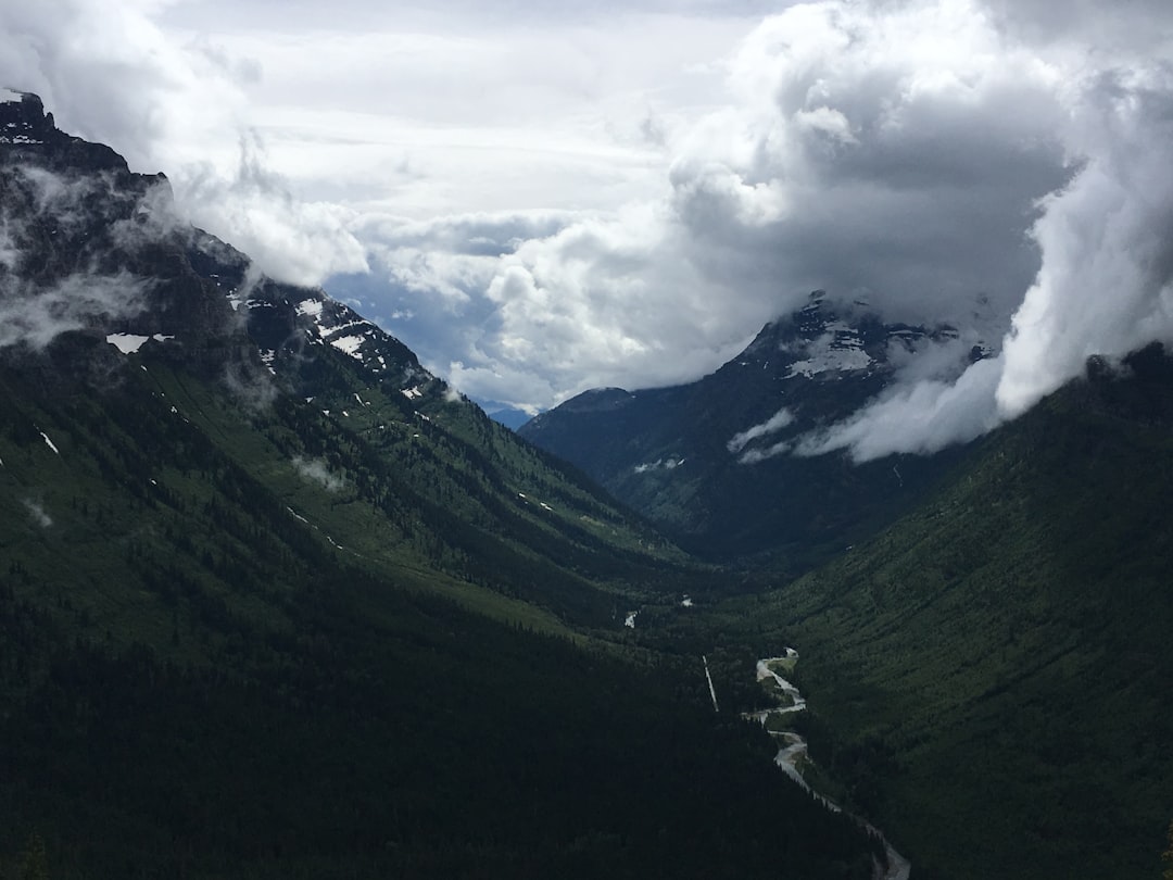 Future Outlook: Navigating Economic Uncertainty (image credits: unsplash)
