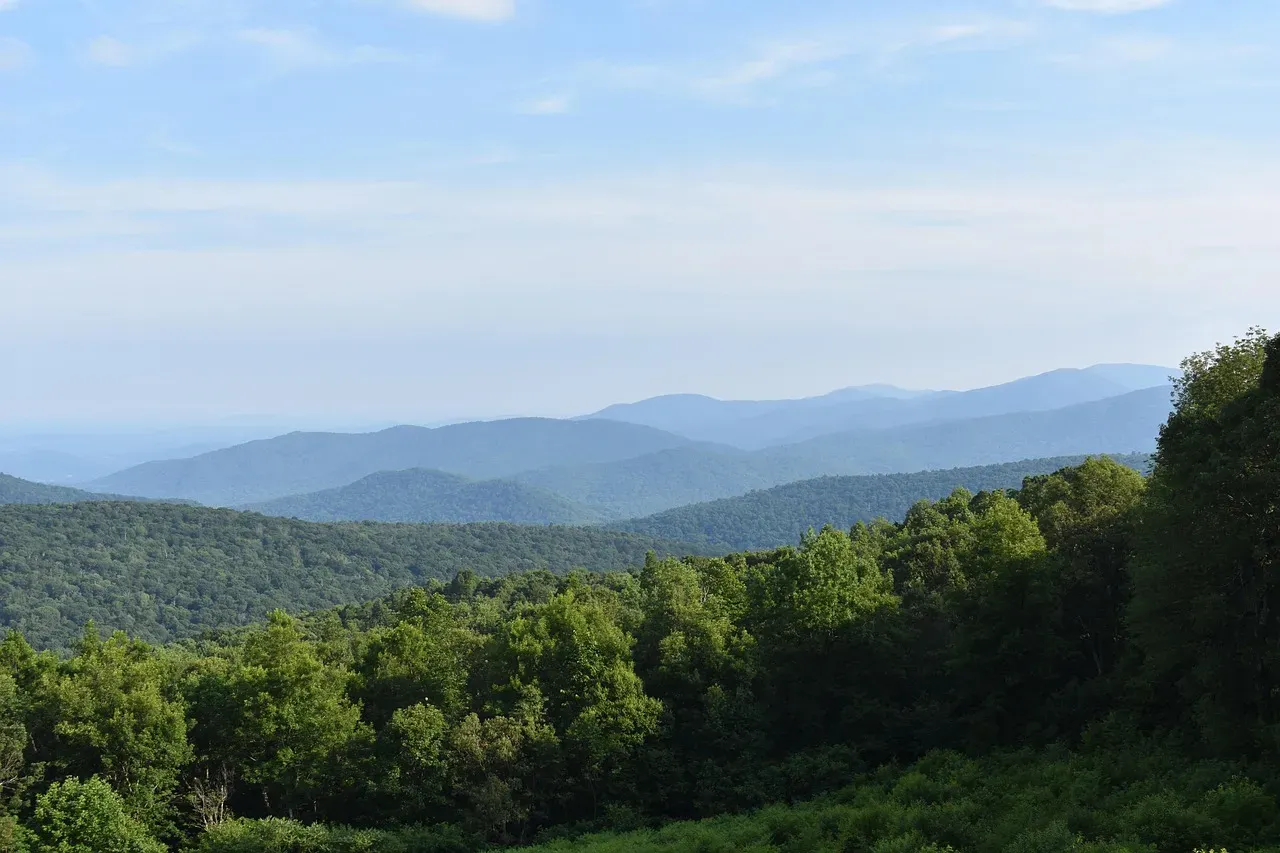 Cancer - Shenandoah National Park, Virginia (Image Credits: Pixabay)