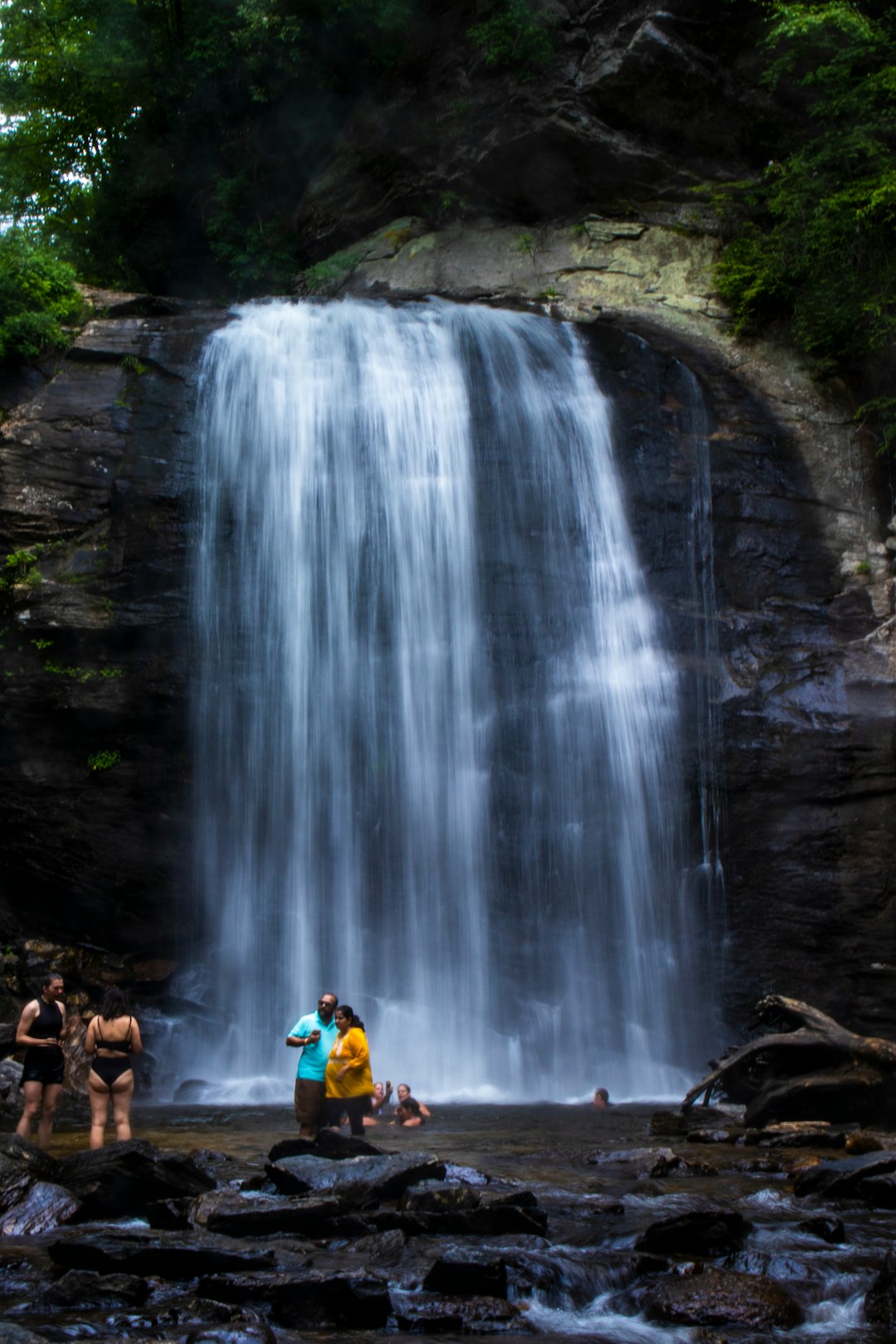 Forest Heritage Scenic Byway: Waterfalls and Mountain Magic (image credits: unsplash)