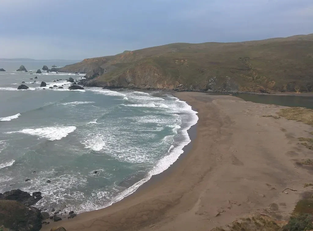 Noise, Trash, and Parking Nightmares (Jesse Wagstaff, Flickr, CC BY 2.0)