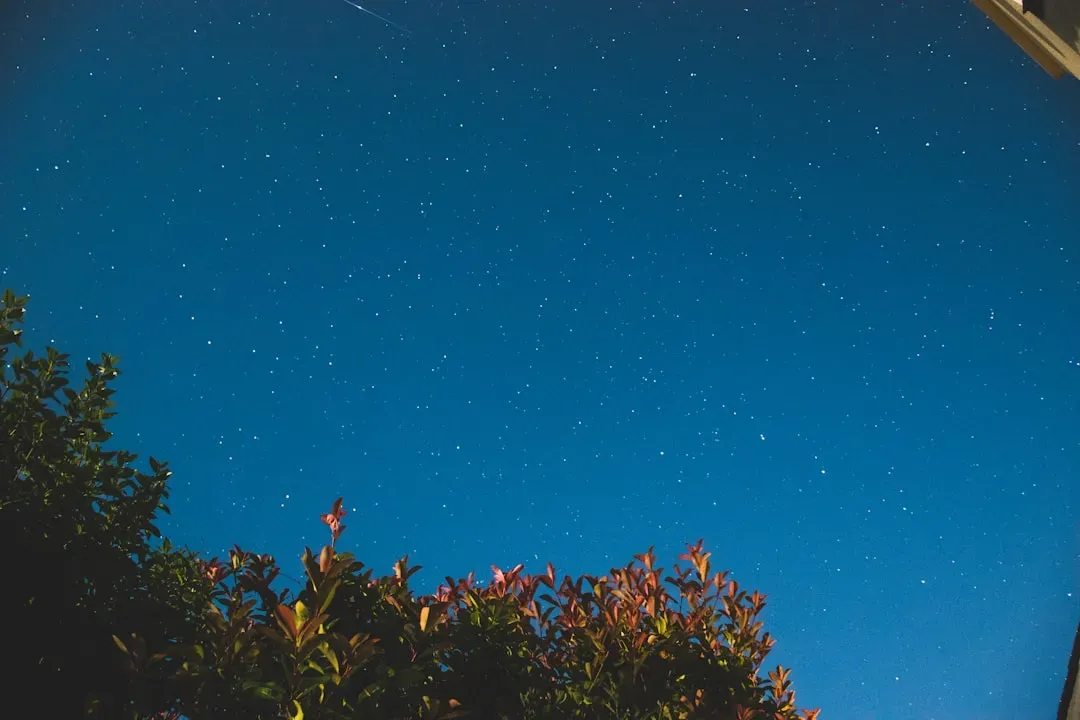 What Pilots Are Seeing (Image Credits: Unsplash)