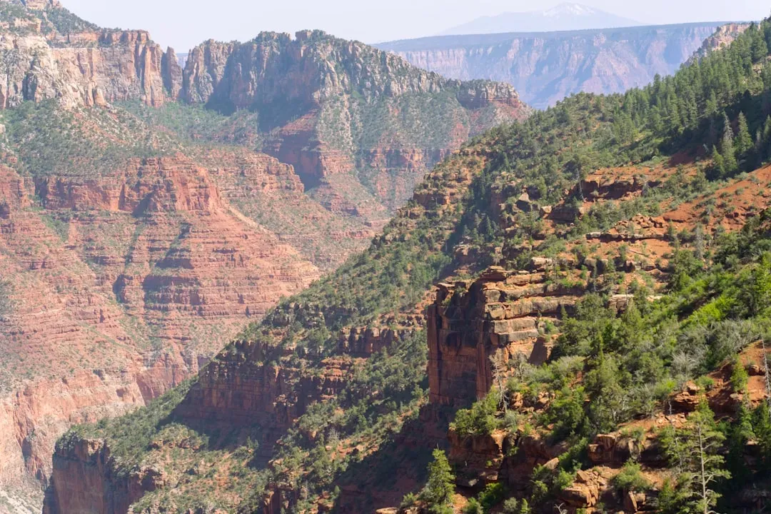 North Rim's Shaky Return (Image Credits: Unsplash)