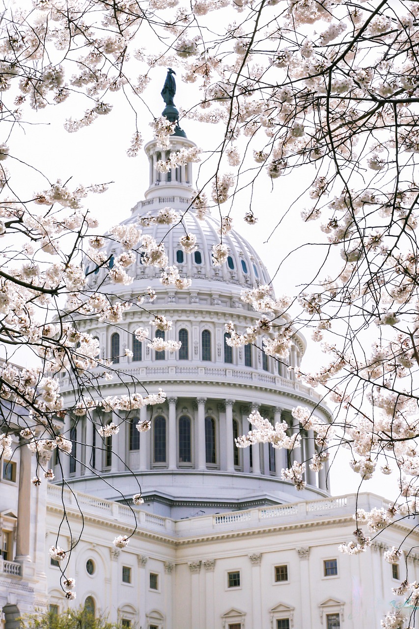 The Eight Senators Who Inspired a President (image credits: pixabay)