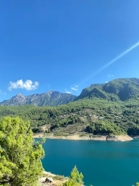 5. Taurus: The Grounded Soul Who Wants Real Life Back (Image Credits: Pexels)