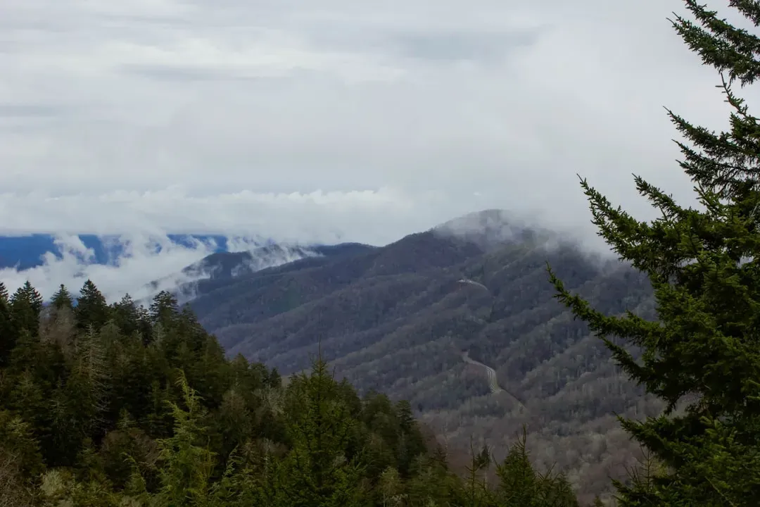 The Smoky Mountains Problem: One Park, All the Pressure (Image Credits: Unsplash)