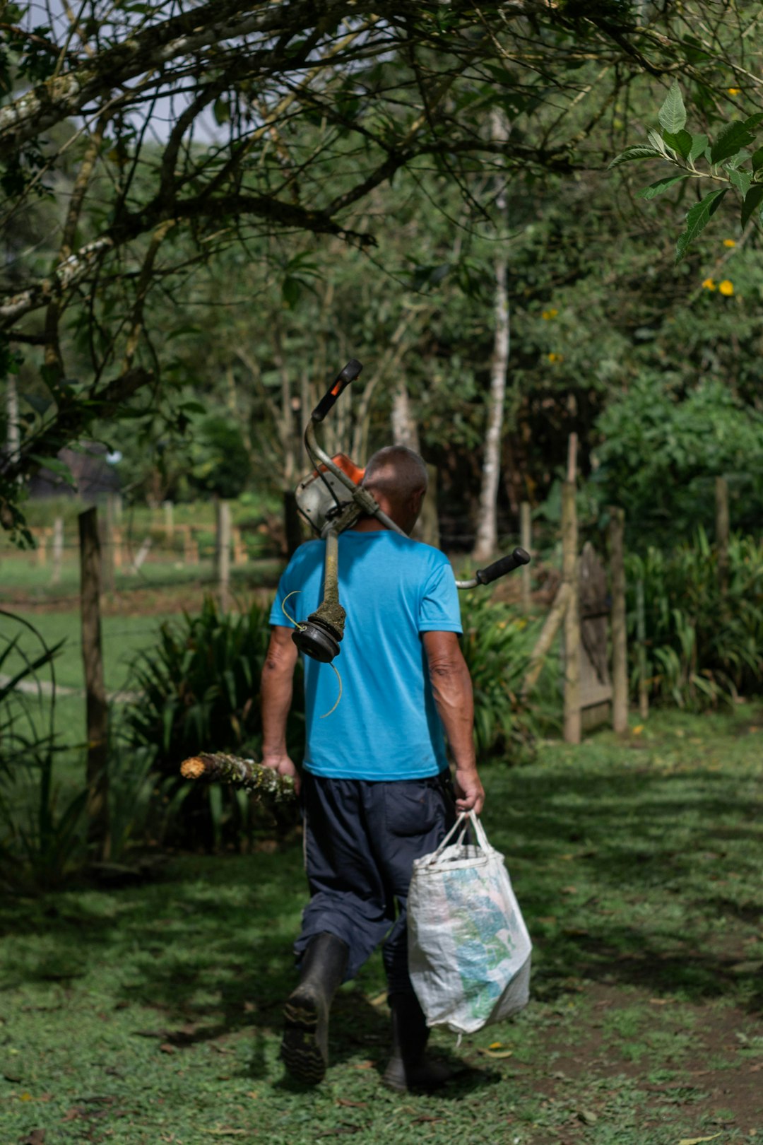 Job Creation in Rural America (image credits: unsplash)