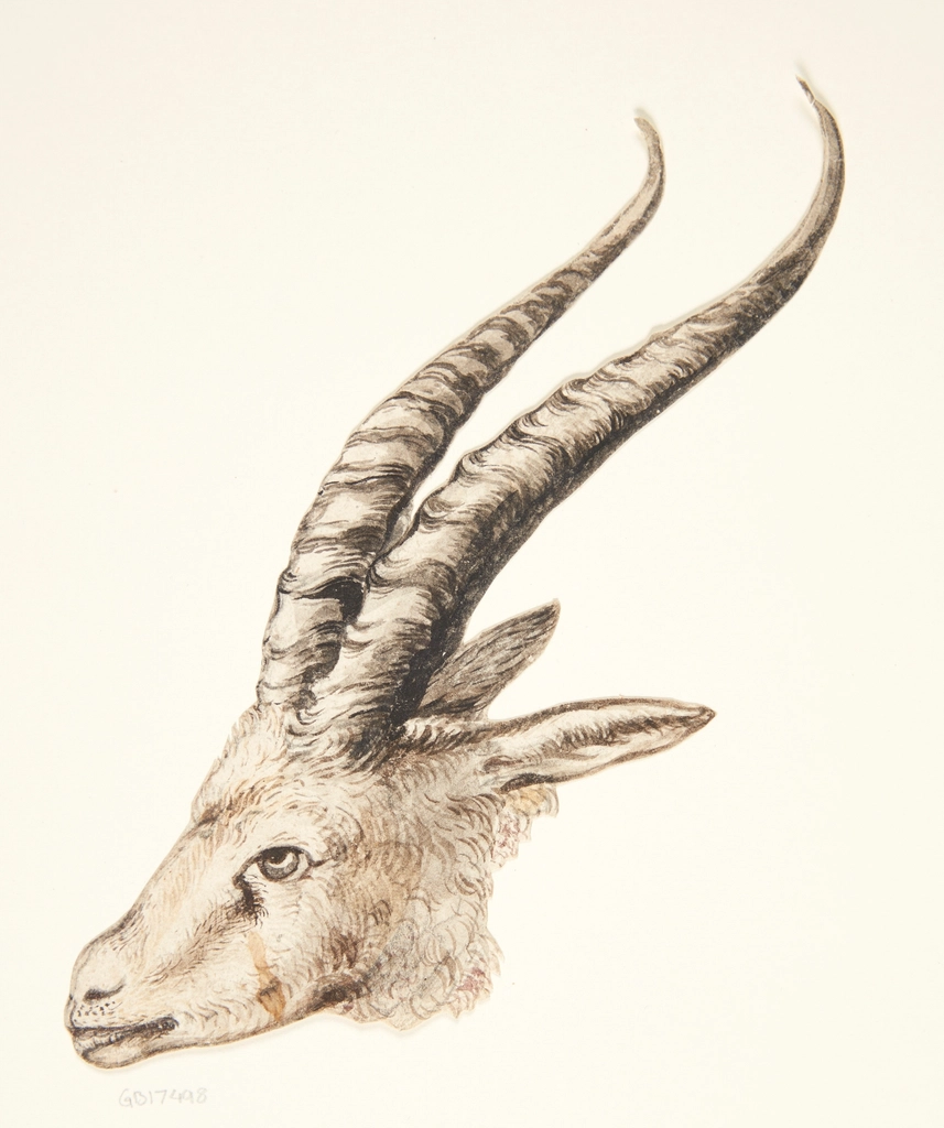 Capricorn: Breaking Free from Old Limitations (image credits: rawpixel)