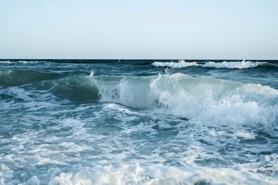 Pisces Rides the Final Wave (Image Credits: Unsplash)