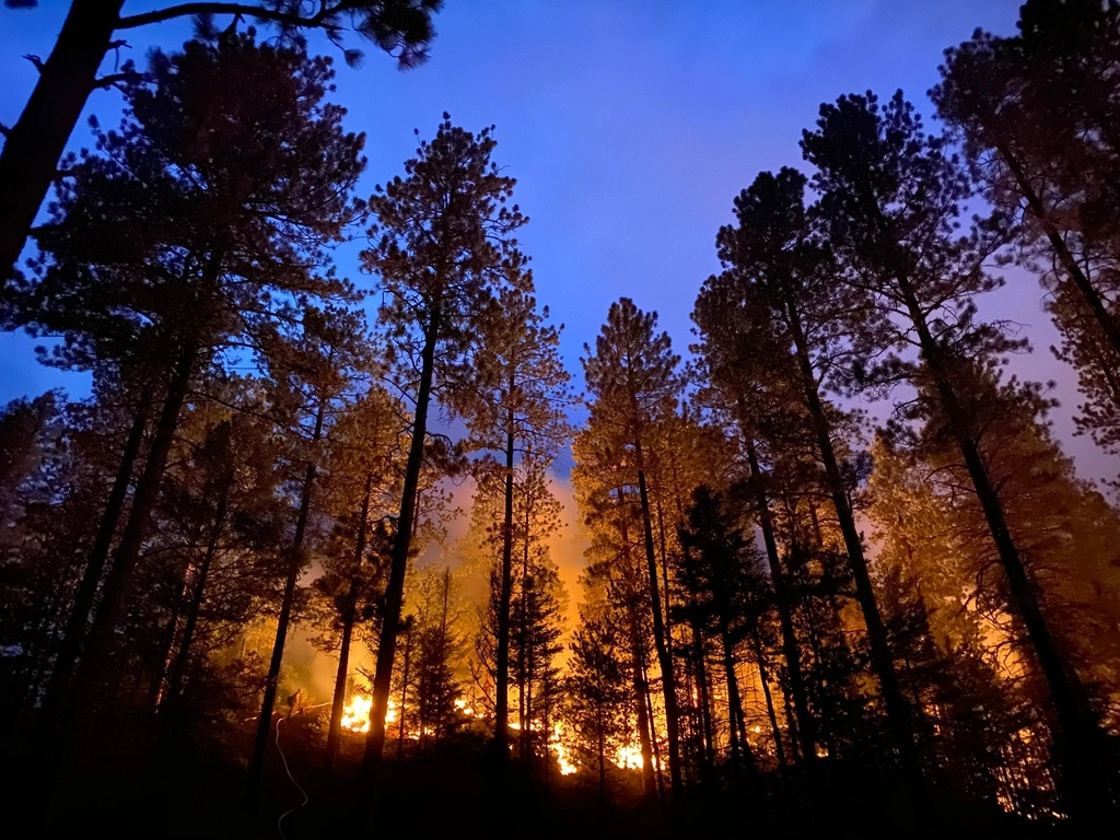 New Mexico: Land of Enchantment Facing Disenchanting Flames (image credits: rawpixel)